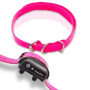 TrainPro ¾” Replacement Collar Strap Bands