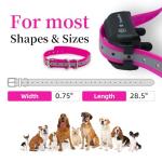 TrainPro ¾” Replacement Collar Strap Bands