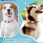 Personalized Slide-On Pet ID Tags – 6 Pack