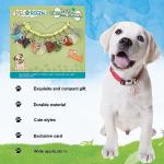 Colorful Gemstone Pet Collar Charms - 12 Pieces