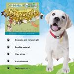 Colorful Pet Collar Pendant Charms - 12 Pack