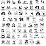 Personalized Stainless Steel Dog Name Tags