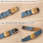 Anavia Personalized Slide-On Pet ID Tags