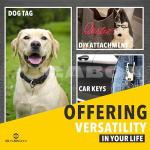 12 Stainless Steel Key Rings for Pets and DIY