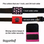 Black Pet Tag Silencer with Blue Paw Print
