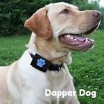 Black Pet Tag Silencer with Blue Paw Print