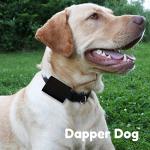 Dapper Dog Tag Silencer and AirTag Holder