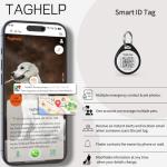 2-Pack Smart QR Code Dog ID Tags