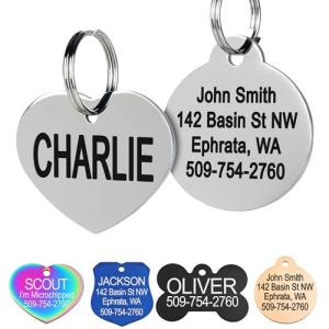 Personalized Stainless Steel Pet ID Tags