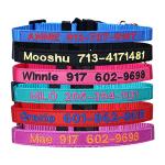 Personalized Breakaway Cat Collar with Custom ID