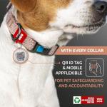 WAUDOG Reflective Eco-Friendly Dog Collar with QR Tag