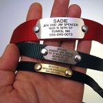 LuckyPet Personalized Silent Stainless Steel Pet ID Tag