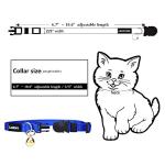 Personalized Breakaway Cat Collar with Custom ID