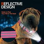 Reflective Dog Collar with AirTag Holder & ID Tag