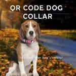 Reflective Dog Collar with AirTag Holder & ID Tag