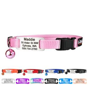 Personalized Pink Cat Collar with Engraved Name Tag