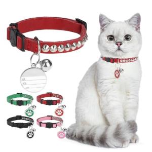 Personalized Breakaway Leather Cat Collar with Bell