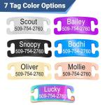 Personalized Pink Cat Collar with Engraved Name Tag