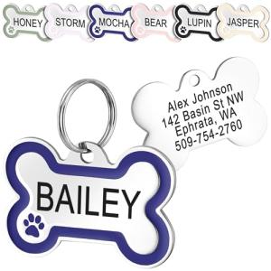 Personalized Stainless Steel Dog Tag with Paw Print