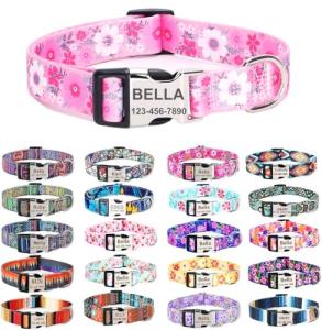 Custom Engraved Dog Collars with ID Tags