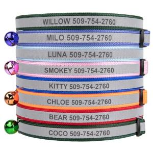 Personalized Reflective Breakaway Cat Collar in Red
