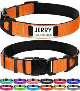 Personalized Reflective Dog Collar with Name Plate