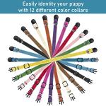 Soft Adjustable Puppy Collars with ID Bands, 12 Pack