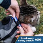 Personalized Reflective Breakaway Cat Collar in Red