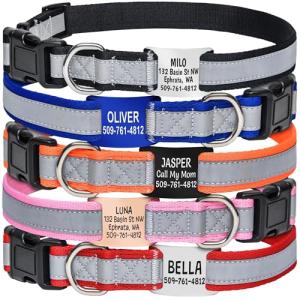Personalized Reflective Dog Collar with ID Tag