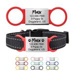 Personalized Silent Pet ID Slide-On Tag
