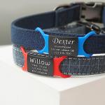 Personalized Silent Pet ID Tag - Blue, Large