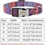 Custom Engraved Dog Collars with ID Tags