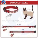 Personalized Breakaway Leather Cat Collar with Bell