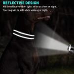 Personalized Reflective Dog Collar with Embroidered Info