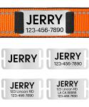 Personalized Reflective Dog Collar with Name Plate