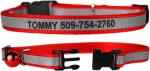 Personalized Reflective Breakaway Cat Collar in Red