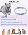 QR Code Cat Collar with Breakaway Safety Buckle