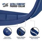 Ultra Comfort Padded Dog Collar with ID Holder