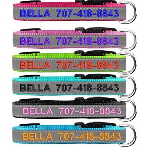 Reflective Custom Dog Collar with Embroidery Options