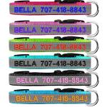 Reflective Custom Dog Collar with Embroidery Options