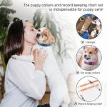 Soft Adjustable Puppy Collars with ID Bands, 12 Pack