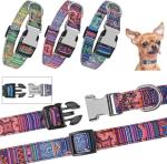 Custom Engraved Dog Collars with ID Tags