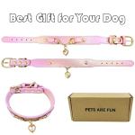 Iridescent Pink Dog Collar with Heart Pendant