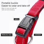 Personalized Reflective Dog Collar with Embroidered Info