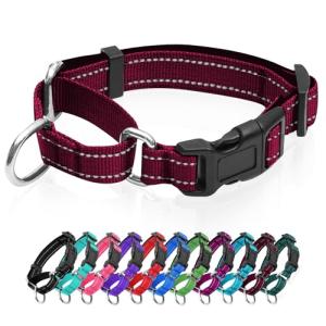 Reflective Adjustable Martingale Dog Collar with Quick Release