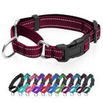 Reflective Adjustable Martingale Dog Collar with Quick Release