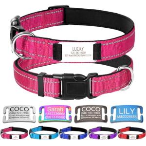 Custom Engraved Reflective Dog Collar in Rose Red