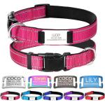 Custom Engraved Reflective Dog Collar in Rose Red