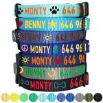 Personalized Adjustable Dog Collar with Name Tag