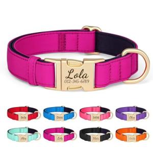 Colorful Custom Dog Collar with Engraved ID Tag
